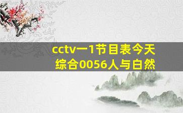 cctv一1节目表今天 综合0056人与白然